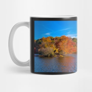 Little Mulberry Park at Miller Lake Mug